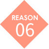 REASON 06